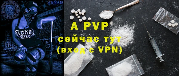дживик Абаза