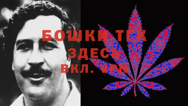 дживик Абаза