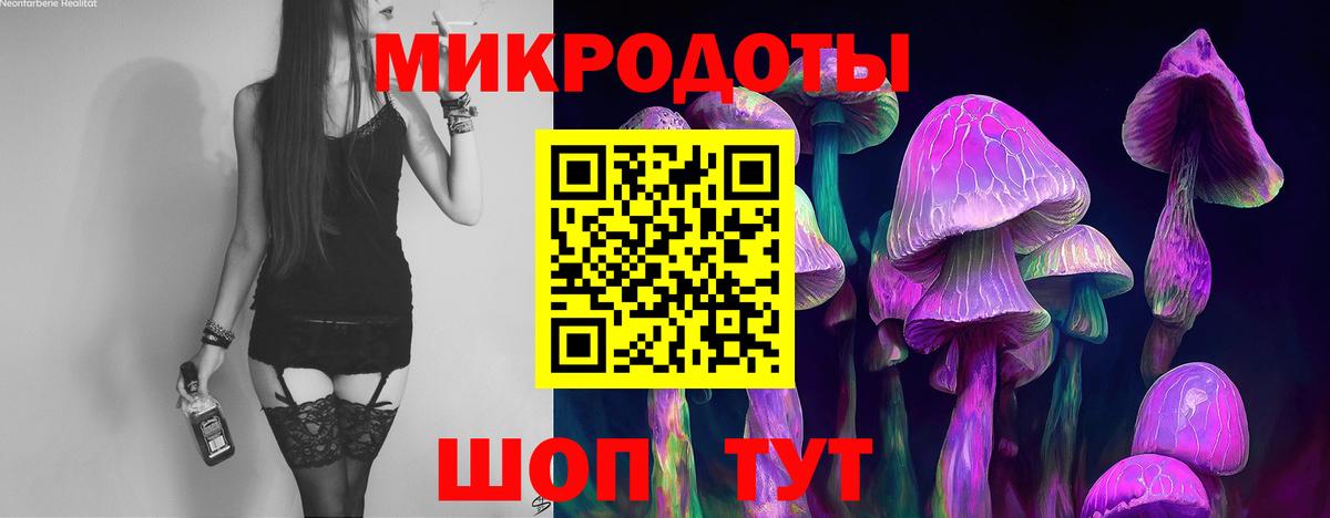 Галлюциногенные грибы MAGIC MUSHROOMS  Вход с VPN  Белая Калитва 